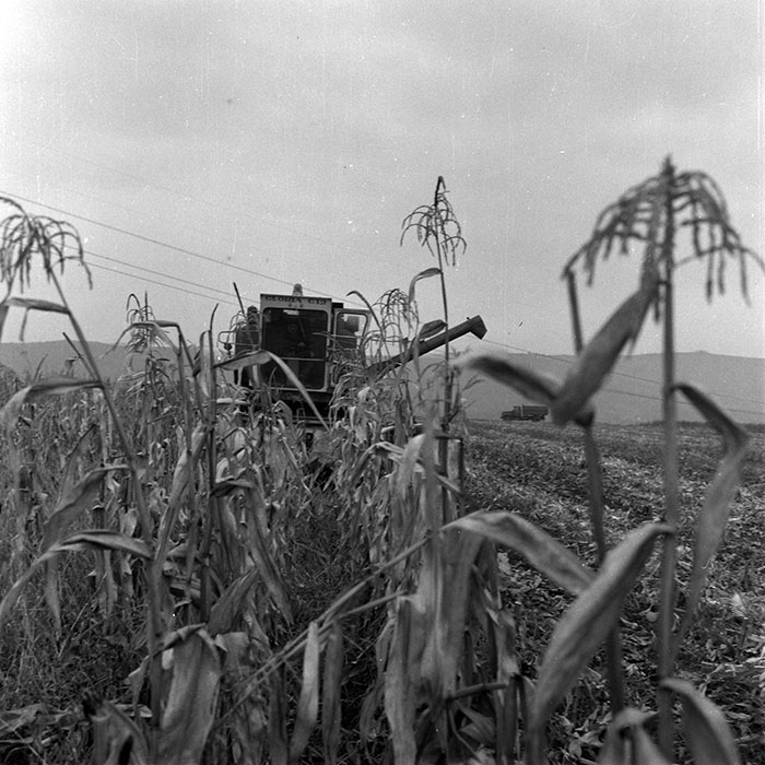 minerva_1970_Agrare_c1_c3r1_010