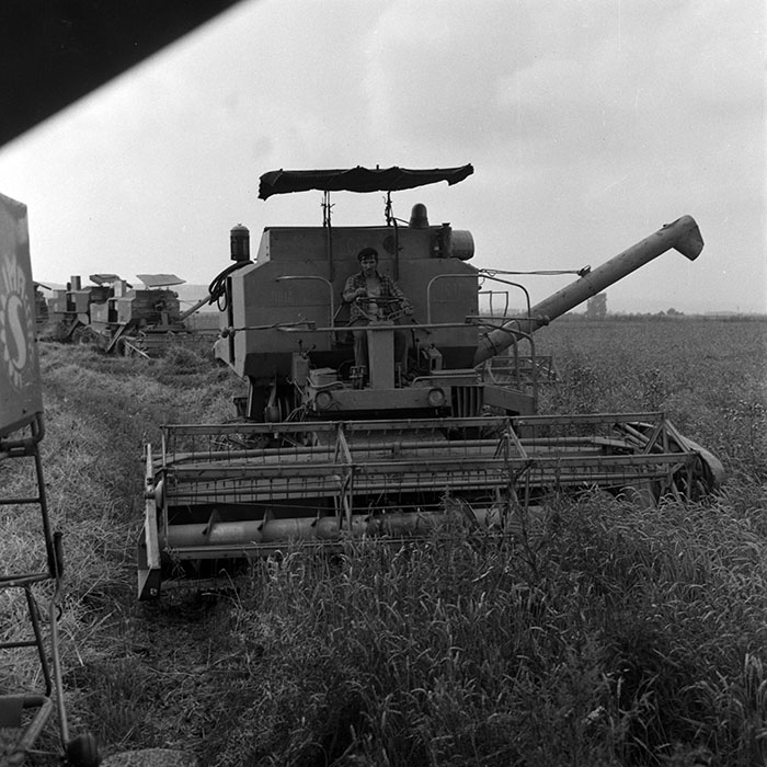 minerva_1970_Agrare_c1_c3r1_012