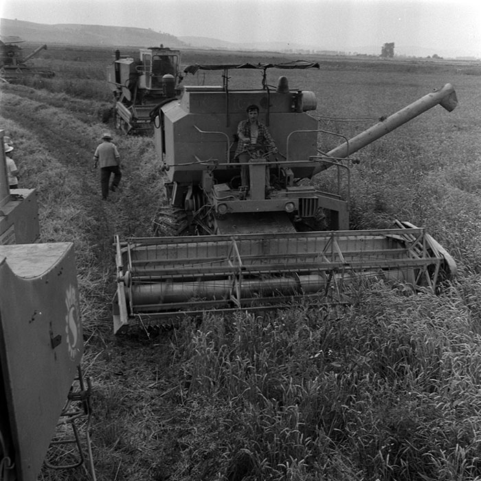 minerva_1970_Agrare_c1_c3r1_015