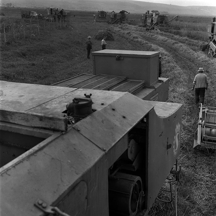 minerva_1970_Agrare_c1_c3r1_016