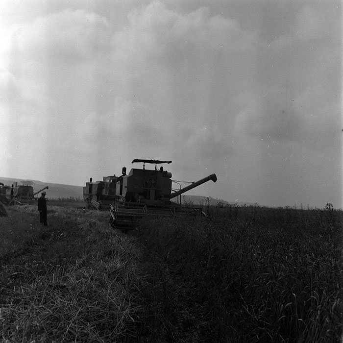 minerva_1970_Agrare_c1_c3r1_017