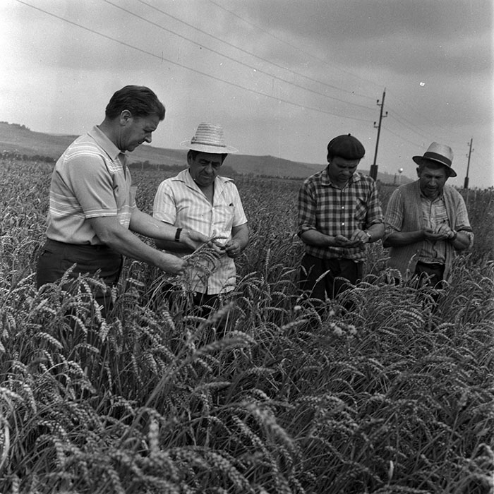 minerva_1970_Agrare_c1_c3r1_018