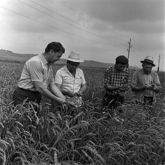 minerva_1970_Agrare_c1_c3r1_019