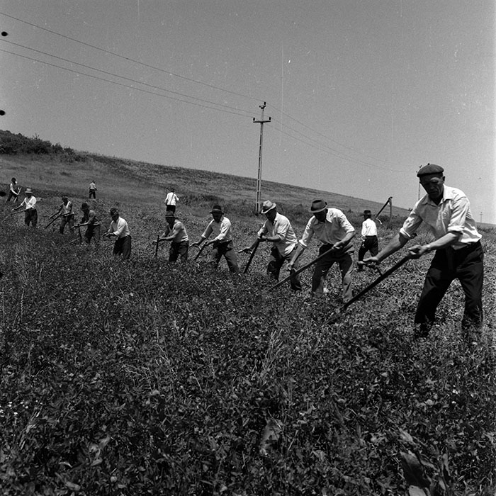 minerva_1970_Agrare_c1_c3r2_004