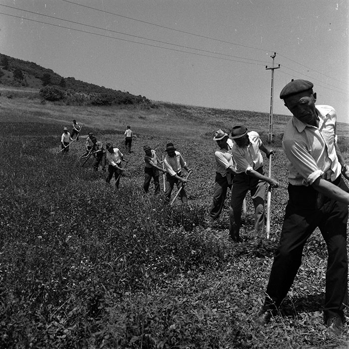 minerva_1970_Agrare_c1_c3r2_005