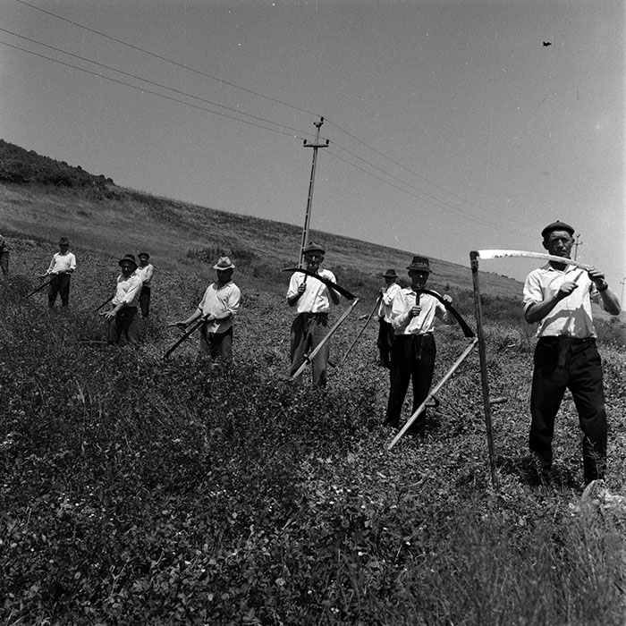 minerva_1970_Agrare_c1_c3r2_006