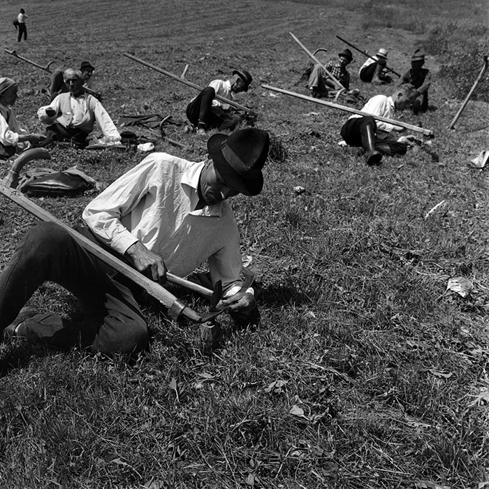 minerva_1970_Agrare_c1_c3r2_008