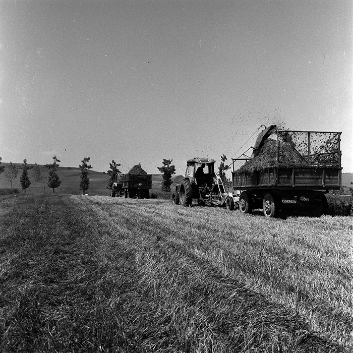 minerva_1970_Agrare_c1_c3r2_010