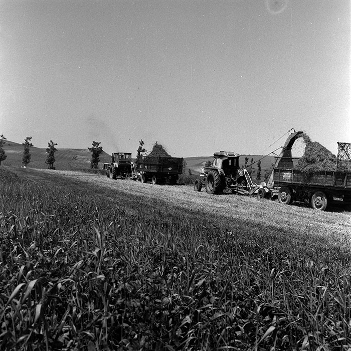 minerva_1970_Agrare_c1_c3r2_011