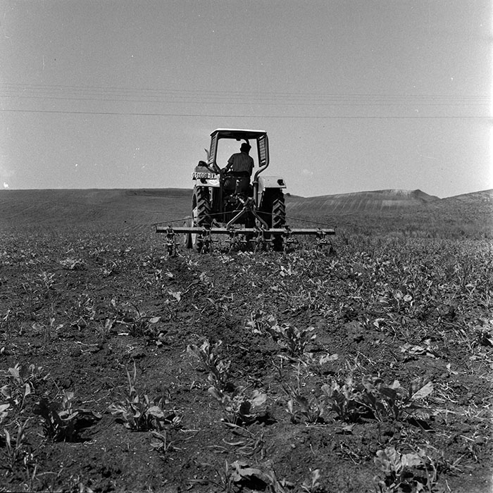 minerva_1970_Agrare_c1_c3r2_012