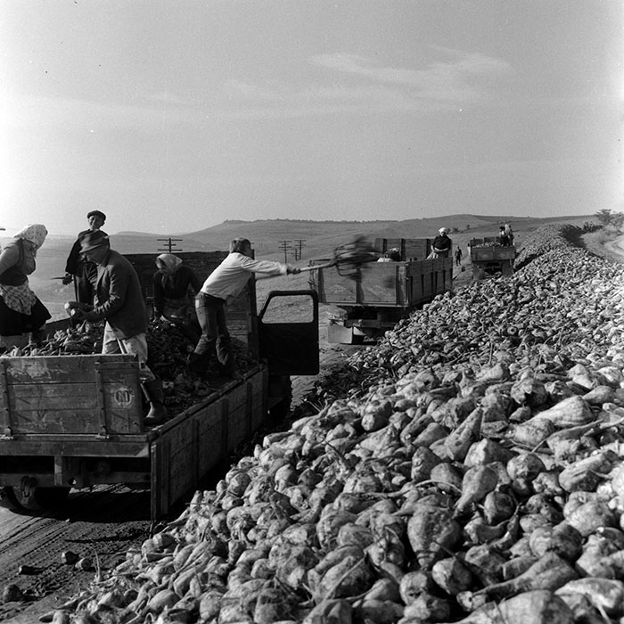 minerva_1970_Agrare_c1_c3r2_017