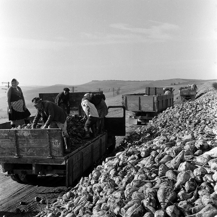 minerva_1970_Agrare_c1_c3r2_018