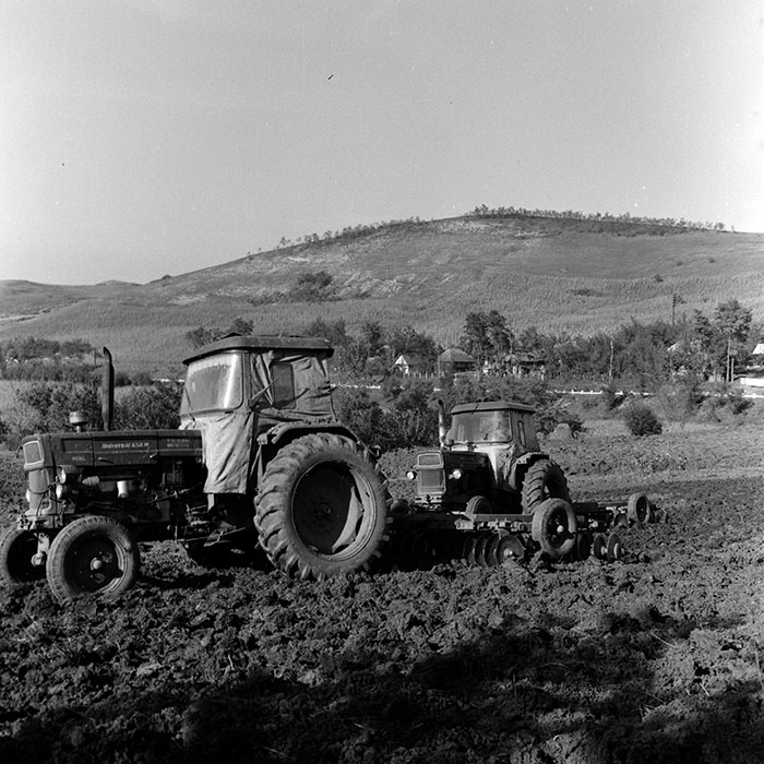 minerva_1970_Agrare_c1_c3r2_020