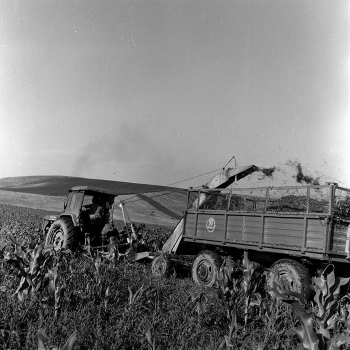 minerva_1970_Agrare_c1_c3r2_021