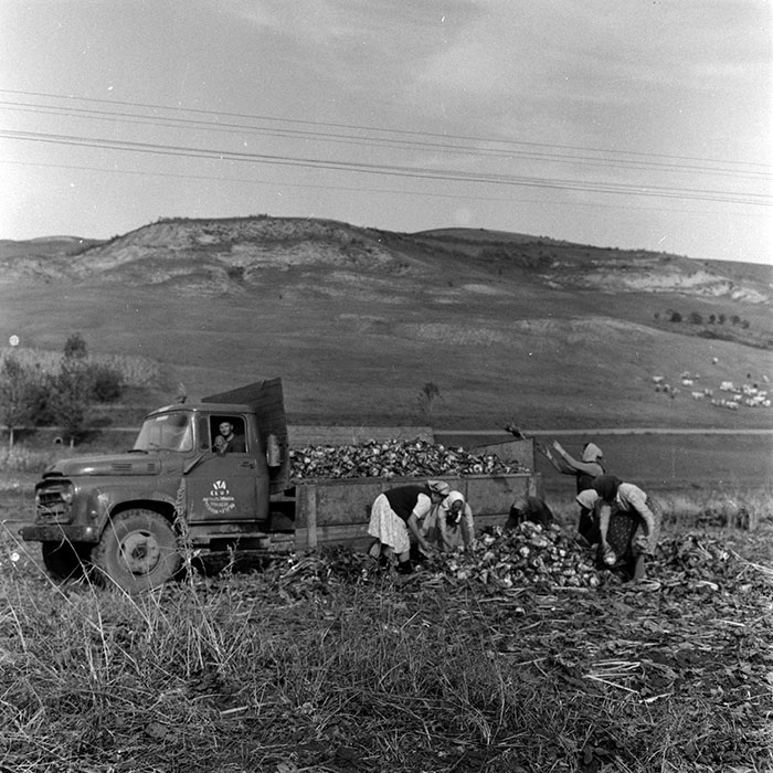 minerva_1970_Agrare_c1_c3r2_024