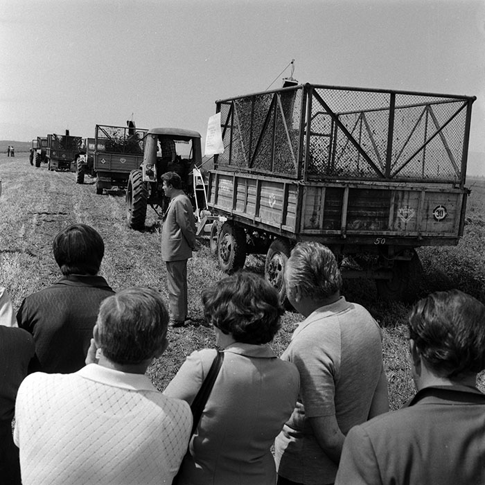 minerva_1970_Agrare_c1_c3r3_004