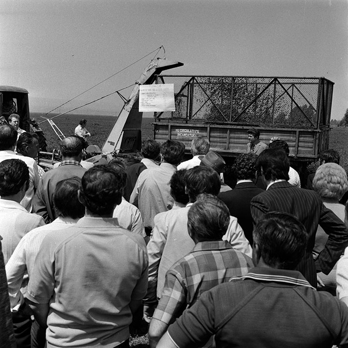 minerva_1970_Agrare_c1_c3r3_006