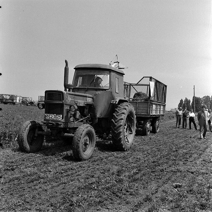 minerva_1970_Agrare_c1_c3r3_010