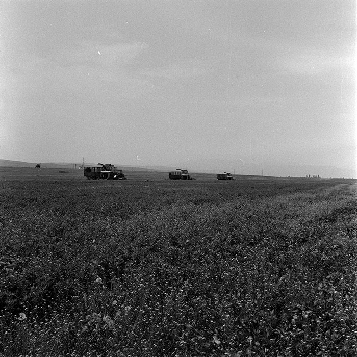 minerva_1970_Agrare_c1_c3r3_011