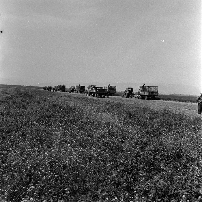 minerva_1970_Agrare_c1_c3r3_012