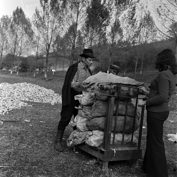 minerva_1970_Agrare_c1_c3r5_001