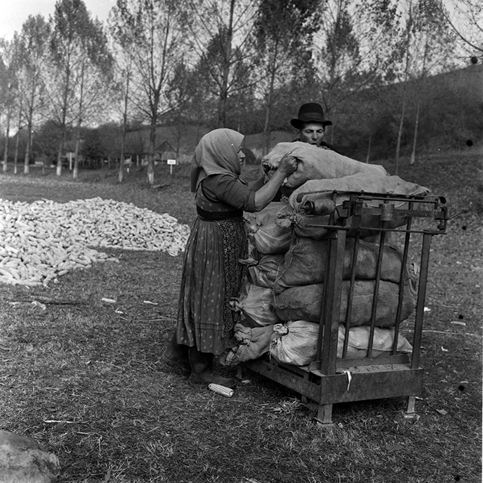 minerva_1970_Agrare_c1_c3r5_002