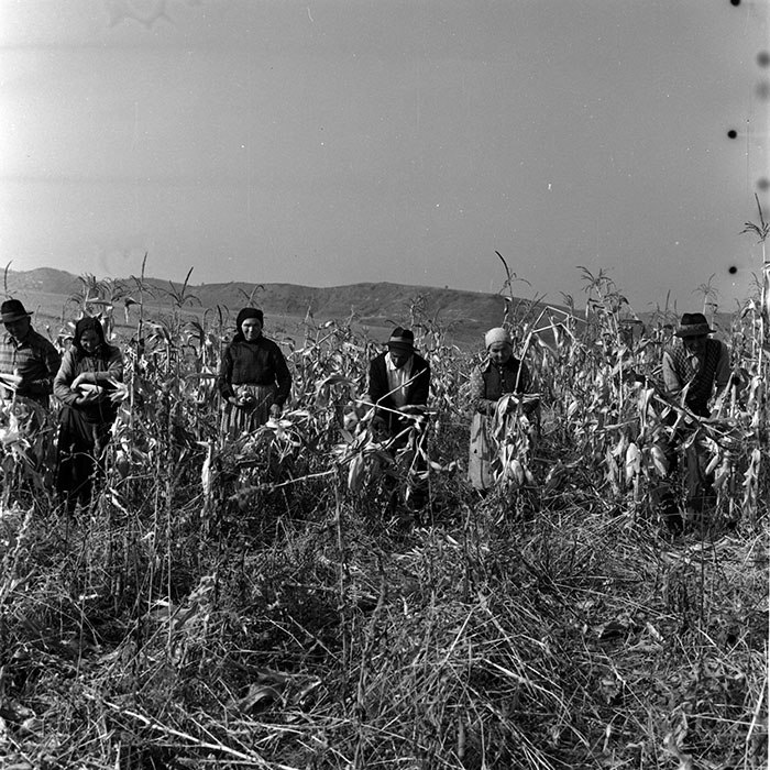 minerva_1970_Agrare_c1_c3r5_003