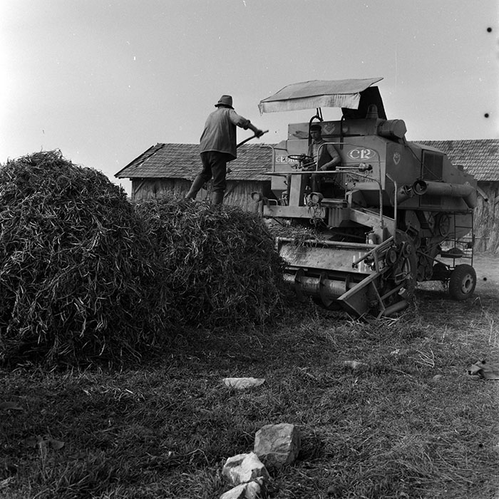 minerva_1970_Agrare_c1_c3r5_006