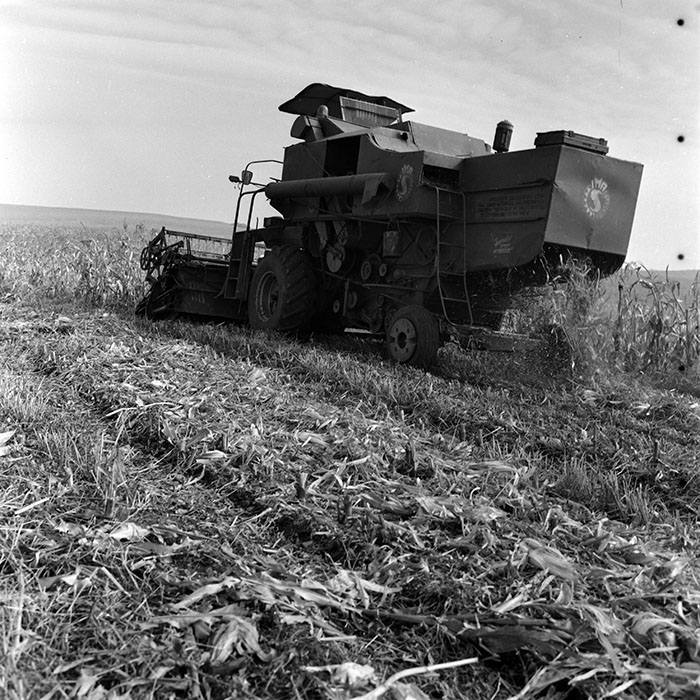 minerva_1970_Agrare_c1_c3r5_010