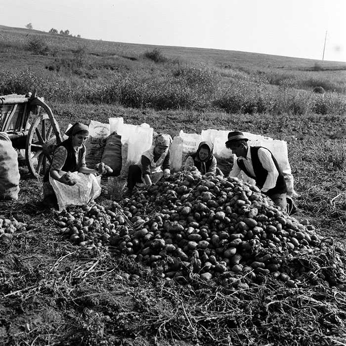 minerva_1970_Agrare_c1_c3r5_013