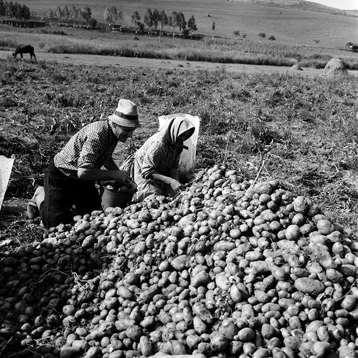 minerva_1970_Agrare_c1_c3r5_014