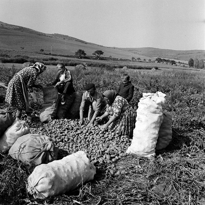 minerva_1970_Agrare_c1_c3r5_015