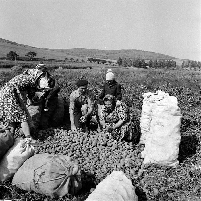 minerva_1970_Agrare_c1_c3r5_016