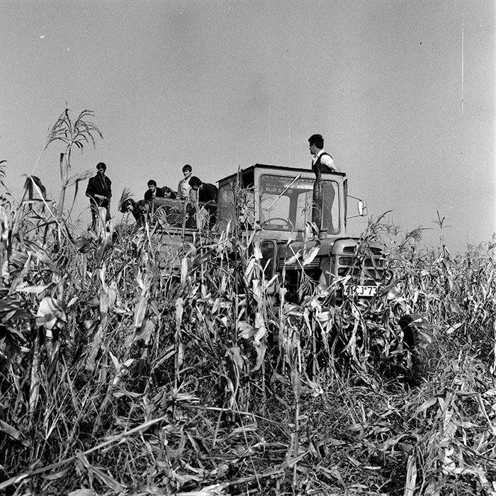 minerva_1970_Agrare_c1_c3r5_017