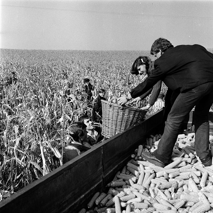 minerva_1970_Agrare_c1_c3r5_018