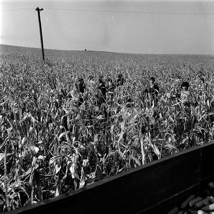 minerva_1970_Agrare_c1_c3r5_019