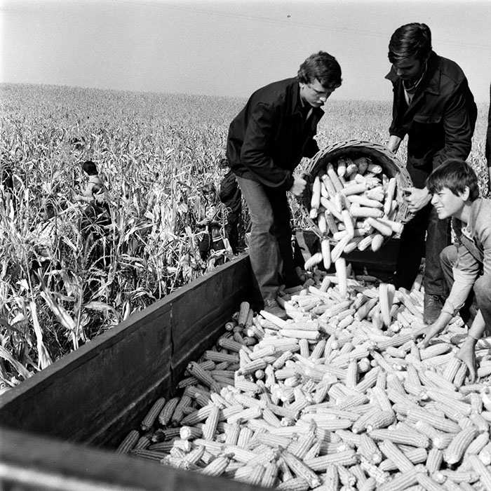 minerva_1970_Agrare_c1_c3r5_020