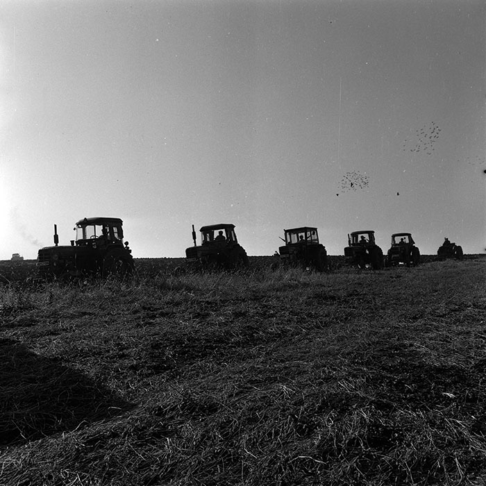 minerva_1970_Agrare_c1_c4r1_003