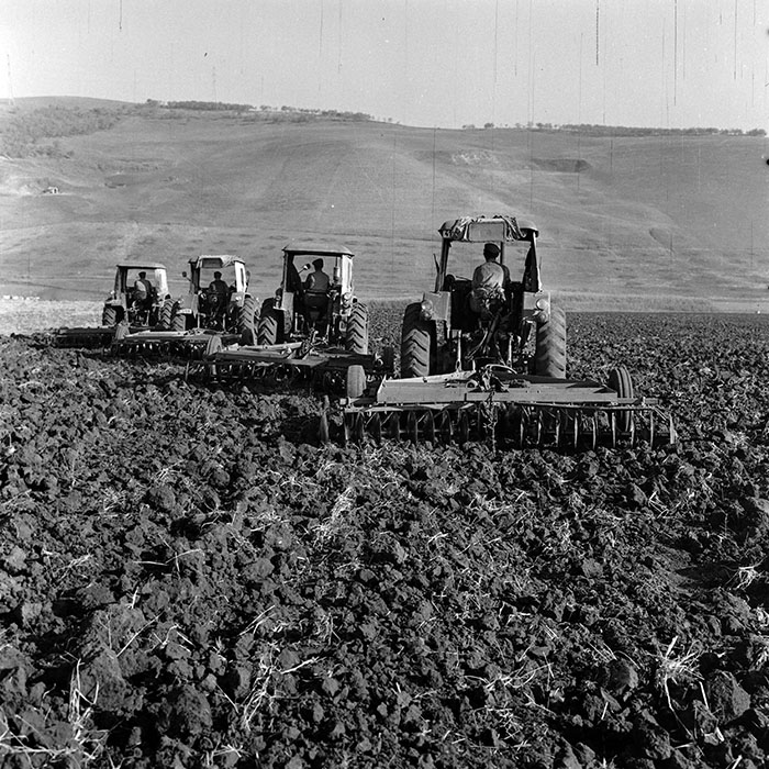 minerva_1970_Agrare_c1_c4r1_006