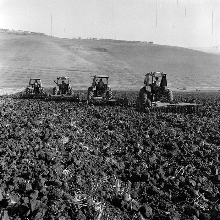 minerva_1970_Agrare_c1_c4r1_008