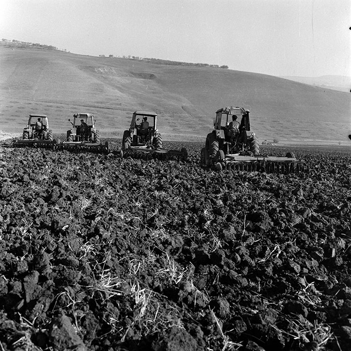 minerva_1970_Agrare_c1_c4r1_009