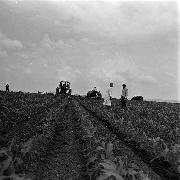 minerva_1970_Agrare_c1_c4r1_013