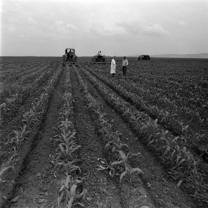 minerva_1970_Agrare_c1_c4r1_014