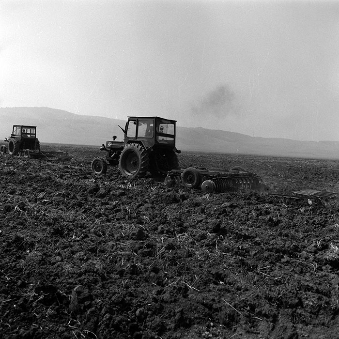 minerva_1970_Agrare_c1_c4r1_019