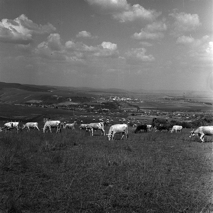 minerva_1970_Agrare_c1_c4r2_007