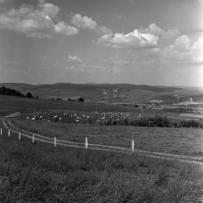 minerva_1970_Agrare_c1_c4r2_008