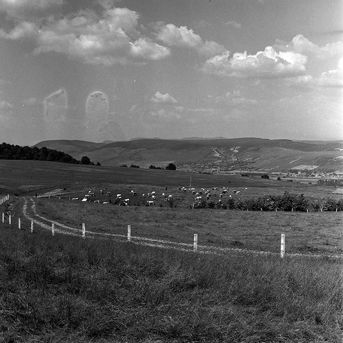 minerva_1970_Agrare_c1_c4r2_009