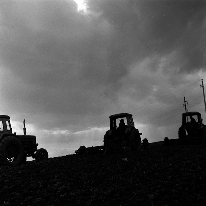 minerva_1970_Agrare_c1_c4r3_003