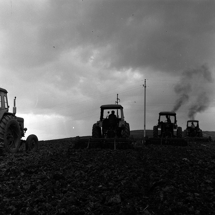 minerva_1970_Agrare_c1_c4r3_004