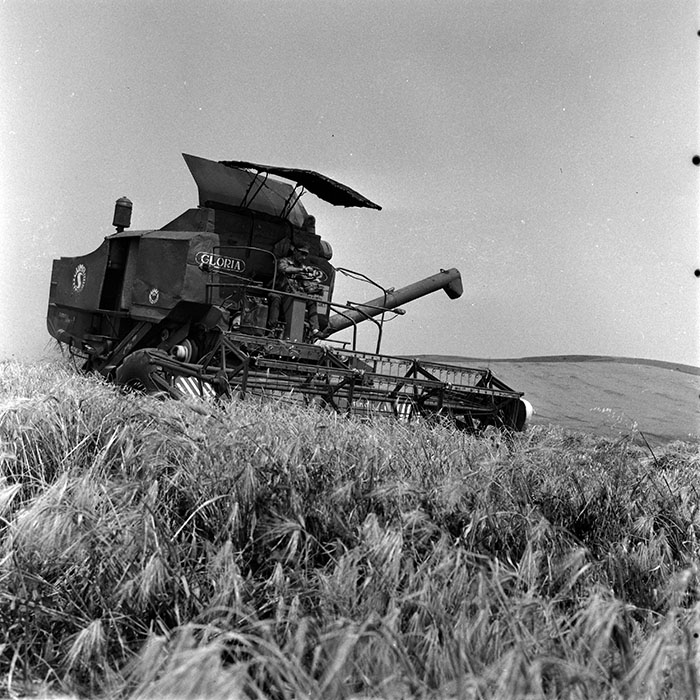 minerva_1970_Agrare_c1_c4r4_001